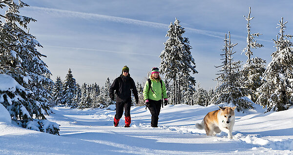 Winterwandern im Bayerischen Wald